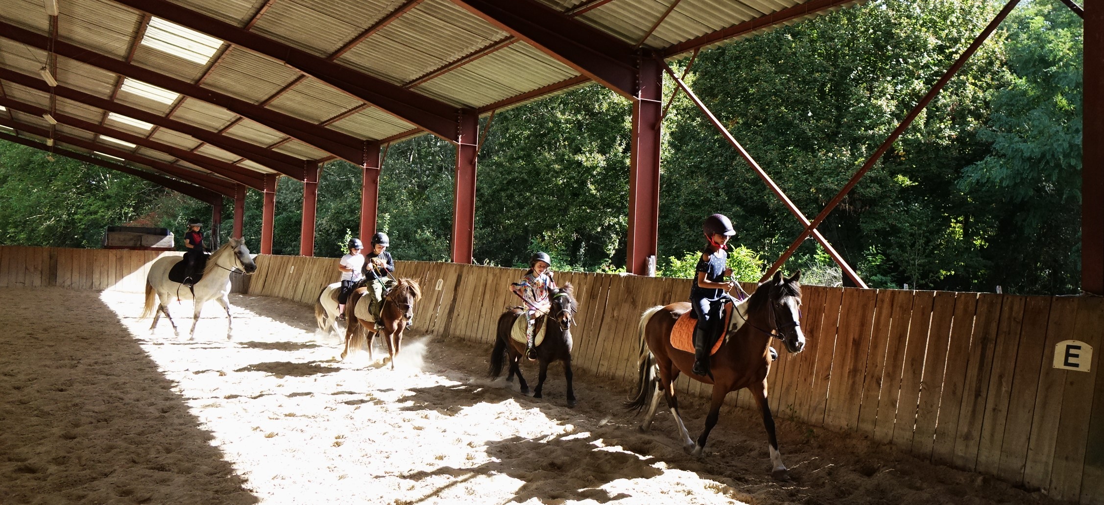 Photo du cours Poney