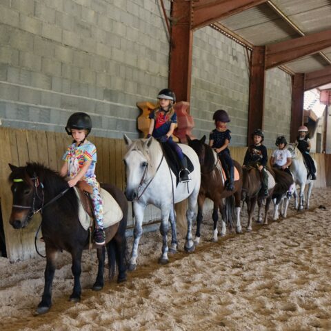Photo de cour cours poney